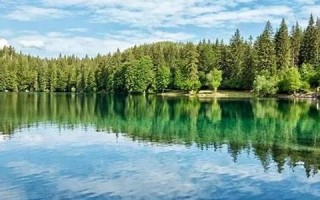 十二星座测试(十二星座测试免费)