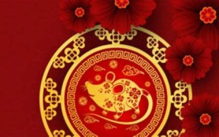 1948年属什么(1948年属什么生肖多大年龄)