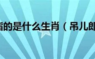 吊儿郎当打一最佳生肖(吊儿郎当打一数字)