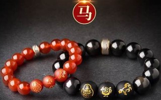 2009年运程(播放2009年的运势)