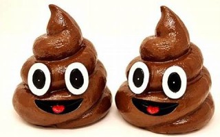 解梦大便(解梦大便是吉兆吗) 解梦大便(解梦大便是吉兆吗)