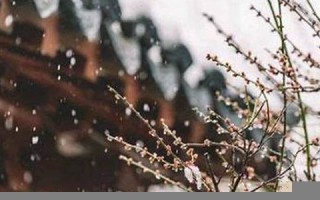 9月22日是什么日子(9月22日是什么日子坐公交不收费)