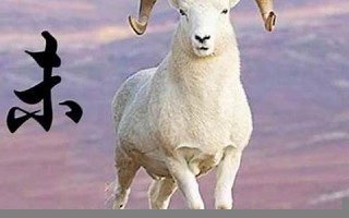 2013年属羊人的运程(羊是2013年的好不好)