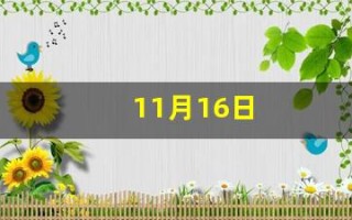 11月16日(11月16日是什么日子)