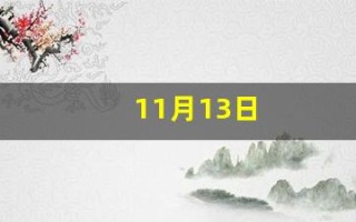 11月13日(11月13日到今天一共几天了)