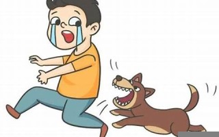 梦见被够狗咬了预示着什么(学生梦见被够狗咬了预示着什么)