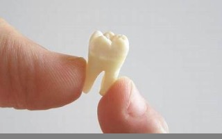 梦见掉牙是什么意思(老年人梦见掉牙是什么意思) 梦见掉牙是什么意思(老年人梦见掉牙是什么意思)