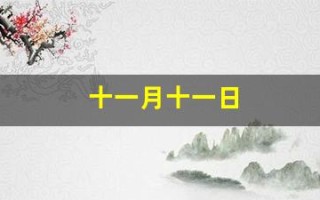 十一月十一日(农历十一月十一日)
