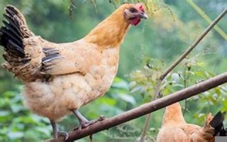 10.31号是什么日子(10.31号是什么日子万圣节)