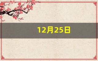 12月25日(12月25日的主人)